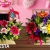 [Imagen:¡Paga Q250 en Lugar de Q400 por Arreglo Floral para Mamá a Elección entre: Caja de Madera con Rosas, Gerberas y Mensaje o Caja de Madera con Gerberas en colores!]