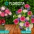 [Imagen:¡Paga Q249 en lugar de Q498 por Arreglo Floral Premium a Elección entre: Canasta de Amor, Canasta Silvestre, Florero para Mamá o Sweet Garden con Entrega Incluida!]