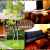 [Imagen:¡Paga Q499 en vez de Q976 por Estadía para 2 personas en Cabaña Jr Equipada con Sala, Chimenea, Balcón y Más + 2 Desayunos!]