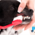 [Imagen:¡Paga Q295 en lugar de Q595 por Limpieza Dental para Mascota con: Remoción de Sarro, Pulido Dental, Revisión de Caries y Abscesos + Bolsa Dental Life de Purina para Cuidado Dental en Casa!]