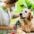 [Imagen:¡Sin Restricción de Tamaño! ¡Paga Q155 en vez de Q355 por Grooming para tu Mascota: Baño Antigarrapatas + Corte de Pelo y Uñas + Cepillado + Limpieza de Glándulas y Oídos + Pipeta Antipulgas + Desparasitante o Multivitamínico y Más!]