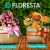 [Imagen:¡Paga Q249 en lugar de Q498 por Arreglo Floral Premium a Elección entre: Canasta de Amor, Canasta Silvestre, Florero para Mamá o Sweet Garden con Entrega Incluida!]