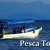 [Imagen:¡Conoce las islas de la Costa! ¡Paga $45 en vez de $110 por tour de 2 horas en lancha para 2 adultos y 2 niños o 4 adultos por la Costa del Sol en Pesca Tours! ¡Pasando por las islas de Tasajera, El Cordoncillo, La isla de las Garzas y más!]