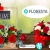 [Imagen:¡Paga Q225 en lugar de Q450 por Romántico Arreglo Floral a Elección entre: Red Bubble (12 rosas, astromelias en base de cristal) o Mensaje de Amor (12 rosas, astromelias en base de madera con pizzarra colgante)!]
