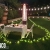 [Imagen:¡Paga Q389 en Lugar de Q650 por Cena Romántica en Jardín que Incluye: 2 Platos de Pasta a Elección + 1 Botella de Vino + 2 Postres + 2 Cafés + Mesa con Decoración + Calentador de Ambiente + Mini Sesión de Fotos Profesionales + 3 Fotos Digitales!]
