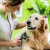 [Imagen:¡Paga $12 en Lugar de $32 por Grooming para Mascota: Baño + Limpieza de Oídos + Limpieza de Glándulas Anales + Limado o Corte de Uñas + Desparasitante + Cepillado de Dientes + Pañoleta o Moño + Perfumado!]