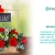 [Imagen:¡Paga Q225 en lugar de Q450 por Romántico Arreglo Floral a Elección entre: Red Bubble (12 rosas, astromelias en base de cristal) o Mensaje de Amor (12 rosas, astromelias en base de madera con pizzarra colgante)!]
