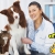 [Imagen:¡Paga $25 en Lugar de $71 por Consulta Veterinaria + Baño Medicado + Desparasitación Inyectada + Aplicación de Pipeta!]