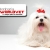 [Imagen:¡Paga $15 en lugar de $51 por paquete para mascota que incluye: limpieza dental + grooming completo + consulta veterinaria + desparasitante + aplicación de Fipronil (para pulgas y garrapatas) en Veterinaria Worldvet!]