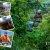 [Imagen:¡Paga Q65 en lugar de Q140 por 1 día de diversión que incluye: 1 paseo en canopy + 1 hora en bicicleta + 1 vuelta en Carrousel +1 salto en Eurobungy en Paseo Cayalá!]