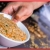 [Imagen:¡A Domicilio o Para Llevar! ¡Paga $24. 95 en vez de $62.72 por Banquete para 4: 1 Spicy Chicken + 1 Lemon Chicken + 1 Teriyaki Steak + 1 Hibachi Chicken + 4 Porciones de Arroz Frito con Vegetales + 4 Limonadas!]