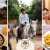 [Imagen:¡Paga Q199 en Lugar de Q425 por Day Pass  Campestre que Incluye: Desayuno o Almuerzo a Elección + 1 Clase de Equitación + Tour en Cuatrimoto o Masaje Relajante!]