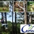 [Imagen:¡Paga Q99 en lugar de Q230 por un día de extrema diversión que incluye: Canopy + Gotcha + Golfito + Caminata por senderos + Uso de las instalaciones en Ceforli!]