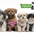 [Imagen:¡Paga Q75 en lugar de Q150 por Grooming completo para tu mascota que incluye: Baño con Shampoo y Acondicionador Anti-alérgico + Corte + Secado + Cepillado + Limpieza de Glándulas y Oídos + Corte de Uñas y Perfumado + Moño o corbatín en Animal Genial!]