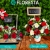 [Imagen:¡Paga Q237 en Lugar de Q395 por Delicado Arreglo Floral a Elección entre: Box, Tierno, Pizarra o Amor con entrega a domicilio!]