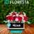 [Imagen:¡Paga Q237 en Lugar de Q395 por Delicado Arreglo Floral a Elección entre: Box, Tierno, Pizarra o Amor con entrega a domicilio!]