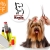 [Imagen:¡Paga $15 en lugar de $75 por Paquete para Mascota que incluye: Limpieza Dental + Grooming Completo + Consulta Veterinaria + Desparasitante + Aplicación de Pipeta (para pulgas y garrapatas) en Veterinaria Koala!]