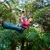 [Imagen:¡Paga Q399 en vez de Q1,000 por Noche de Camping para 2 que Incluye: Canopy + Rappel de Árbol + Tirolesa Seca + Tirolesa Mojada + Piscina + Columpio Gigante + Caminata a Sendero del Quetzal!]