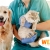 [Imagen:¡Paga $15 en Lugar de $32 Por Consulta Veterinaria + Desparasitación Interna para tu Mascota!]