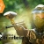 [Imagen:¡Paga Q35 en lugar de Q75 por Paquete de Paintball que incluye: 75 Paintballs + Marcadora + Tanque + Loader + Máscara + Chaleco + Overol o Jacket en Paintball La Cabaña!]