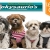 [Imagen:¡Paga $15 en vez de $48 por Sesión Veterinaria con: Baño + Corte de Uñas + Limpieza de Glándulas y Orejas + Cepillado de Dientes + Revisión Veterinaria + Desparasitante + Aplicación de Fipronil + Plaquita Personalizada en Veterinaria Kokysaurio’s!]