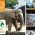 [Imagen:¡Paga $27 en lugar de $55 por Tour Guiado a Guatemala que incluye visita a Zoológico de la Aurora, Oakland Mall y Paseo Cayalá + Asistencia Migratoria + Snacks con Travel Connections! ¡Sólo 147 cupones disponibles!]
