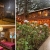 [Imagen:¡Vive el Clima Fresco de Montaña! ¡Paga $37 en Lugar de $77 por Estadía de 1 Noche para 4 Personas en Habitación Doble + 2 Desayunos Típicos en Hotel y Restaurante La Posada del Cielo en El Pital, Chalatenango!]