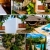 [Imagen:¡Escapada Perfecta a la Playa! ¡Paga Q349 en Lugar de Q850 por 1 Noche para 2 Personas en Cabaña Tipo Hawaii con Baño Privado o Habitaciones Dobles con Baño Privado + Snacks de Desayuno + Uso de Instalaciones: Piscina, Hamacas y Más!]