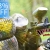 [Imagen:¡Paga Q35 en lugar de Q75 por Paquete de Paintball (Kit de 75 Pulgas) que incluye: 75 Paintballs + Marcadora + Tanque CO2 + Máscara + Hooper + Chaleco Protector + Jersey en Bulldog Paintball Park!]
