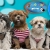 [Imagen:¡Paga Q79 en lugar de Q160 por Paquete de Grooming Completo A Domicilio que incluye: Baño + Corte de Pelo y Uñas + Limpieza de Glándulas + Tips de Mejora de Comportamiento + Cepillado de Dientes + Moña o Pañuelo en Mo&amp;Di!]