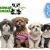 [Imagen:¡Paga Q75 en lugar de Q150 por Grooming Completo que incluye: Shampoo Antialérgico + Acondicionador + Corte, Secado y Cepillado + Limpieza de Glándulas y Oídos + Corte de Uñas y Perfumado + Moña o Corbatín en Animal Genial!]
