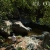 [Imagen:¡Paga Q699 en Lugar de Q1,500 por Estadía de 1 Noche para 2 Personas en Cabaña + 2 Desayunos + 2 Almuerzos + 2 Cenas + Uso de Instalaciones y Actividades de Montaña: Tour a La Piedra del Jardín, Ordeño, Pesca de Tilapia, Piscina Natural y Más!]