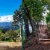 [Imagen:¡Paga Q99 en Lugar de Q295 por Camping para 4 con: 4 Desayunos Típicos o de Pancakes + 4 Bebidas a Elección (Café, Jugo de Naranja o Jamaica) + Uso de Instalaciones y Actividades de Montaña: Senderismo, Puentes, Hamacas, Granjita!]