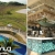 [Imagen:¡Oceana Resort TODO INCLUIDO! ¡Paga Q1,999 en Lugar de Q3,040 por Estadía Familiar para 2 Adultos y 2 Niños (De 0 a 5 años) en Habitación Superior + Impuestos Incluidos!]