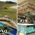 [Imagen:¡Oferta Flash! ¡Exclusiva para la Noche de Sábado 13 a Domingo 14! ¡Paga Q2,500 en Lugar de Q3,040 por Estadía All Inclusive para 2 Adultos y 2 Niños (De 0 a 5 Años)! ¡Sólo 25 Habitaciones Disponibles!]