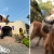 [Imagen:¡Diversión a Partir del 15 de Mayo! ¡Paga $5 en Lugar de $15 por 1 Entrada con Atracciones Ilimitadas: Sillas Voladoras, Escalada, Péndulo, Granjita, Canopy, Carrusel y Más!]