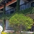 [Imagen:¡Inolvidable Estadía en Atitlán! ¡Paga Q350 en Lugar de Q650 por Estadía para 2 Personas en Habitación Doble + Uso de Piscina, Vista al Lago y Volcanes, Acceso a Playa Privada y Área Verde + Impuestos Incluidos!]