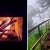 [Imagen:¡Conéctate con la Naturaleza en La Palma, Chalatenango! ¡Paga $42 en Lugar de $71 por Estadía de 1 Noche para 4 Personas + 4 Desayunos Típicos + 2 Usos de Columpio!]