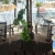 [Imagen:¡Paga Q450 en Lugar de Q900 por Estadía Hasta Para 4 Personas en el Caribe, Habitación Doble con A/C + 2 Desayunos a Elección + ⁠Entrada de Tajadas con Costillas para Compartir!]