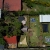 [Imagen:¡Paga Q499 en Lugar de Q1,000 por Estadía para 4 Personas en Habitación Tipo Cabaña + Uso de Lancha de Remos + Uso de Instalaciones (Jardines, Hamacas, Fogata y Juegos de Mesa) + Impuestos Incluidos!]