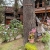 [Imagen:¡Escapada con Clima Fresco! ¡Paga $37 en Lugar de $77 por Estadía de 1 Noche para 4 Personas en Habitación Doble + 2 Desayunos Típicos en Hotel y Restaurante La Posada del Cielo en El Pital, Chalatenango!]