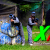 [Imagen:¡Paga Q138 en vez de Q275 por Día de Diversión Extrema con Paintball para 2 que Incluye: Entradas al Parque + 200 Paintballs + Equipo de Seguridad: Máscara, Chaleco y Marcadora +Tanque de Aire + Uso del Campo + 2 Combos de Pizza y Bebida!]