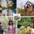 [Imagen:¡Paga $20 en lugar de $125 por Sesión Fotográfica Profesional en Estudio o Exterior Hasta para 6 Personas + 10 Impresiones 4 x 6 + CD Personalizado con las 30 Mejores Fotografías!]