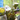 [Imagen:¡Paga Q35 en lugar de Q75 por Paquete de Paintball (Kit de 75 Pulgas) que incluye: 75 Paintballs + Marcadora + Tanque CO2 + Máscara + Hooper + Chaleco Protector + Jersey en Bulldog Paintball Park!]