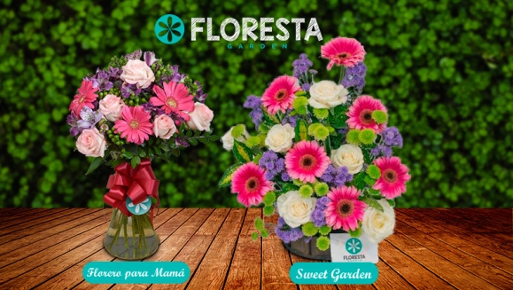 [Imagen:¡Paga Q249 en lugar de Q498 por Arreglo Floral Premium a Elección entre: Canasta de Amor, Canasta Silvestre, Florero para Mamá o Sweet Garden con Entrega Incluida!]