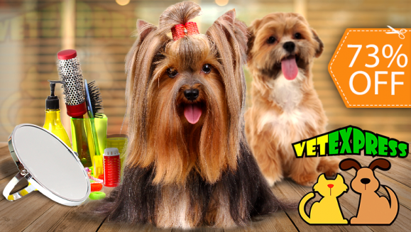 [Imagen:¡Paga $12 en Lugar de $45 por Grooming para Tu Mascota: Baño, Limpieza de Oídos y Glándulas Anales, Limado y Corte de Uñas, Perfume, Moño o Pañoleta + Cepillado de Dientes + Desparasitación Oral + Desparasitación Inyectada!]