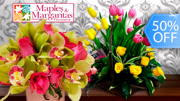 [Imagen:¡Paga Q499 en lugar de Q1,000 por Arreglo Floral de Lujo a Elección: A) Romance Tulipanes con 20 Tulipanes y 2 Docenas de Rosas o B) Holland Love con 2 Tallos de Orquídeas y 2 Docenas de Rosas!]