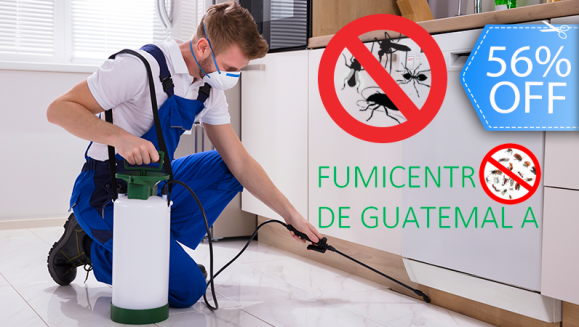[Imagen:¡Paga Q349 en vez de Q795 por Fumigación de Plagas en 15 Ambientes + Tratamiento en Gel en Cocina + Control de Zancudos + Tratamiento para Drenajes + Aplicación de Abono + Tratamiento de Ácaros en 2 Colchones + Lavado de 6 Sillas de Comedor y Más!]