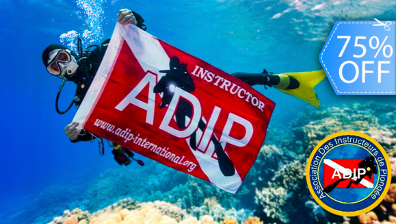 [Imagen:¡Paga Q799 en vez de Q3,200 por Curso de Buceo “1 ESTRELLA” ADIP INTERNATIONAL de 30 Horas con: Clases Teóricas en Línea + Inmersión en Piscina + Instrucción en 4 Buceos en Aguas Abiertas + Licencia ADIP INTERNACIONAL + Diploma ORIGINAL y Más!]