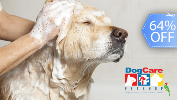 [Imagen:¡Paga Q99 en vez de Q275 por Grooming para tu Mascota: Baño Antipulgas + Corte + Cepillado + Limpieza de Glándulas + Corte y Limado de Uñas + Limpieza y Depilación de Oídos + Pipeta Antipulgas y Garrapatas y Más! ¡Razas Pequeñas, Medianas y Grandes!]